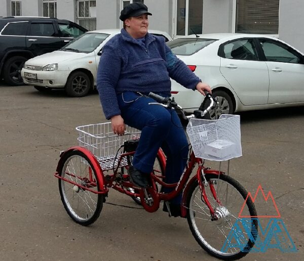 Электровелосипед Трехколесный Farmer-Li-ion 24” 250W. СКИДКА!